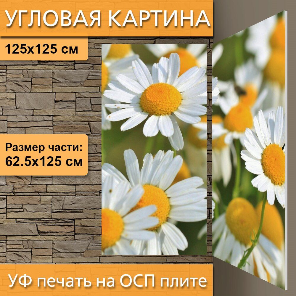 Угловая модульная картина 