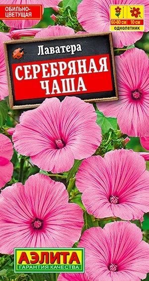 ЛАВАТЕРА СЕРЕБРЯНАЯ ЧАША. Семена. Вес 0,3 гр. Один из немногих летников, сочетающих высокую декоративность #1