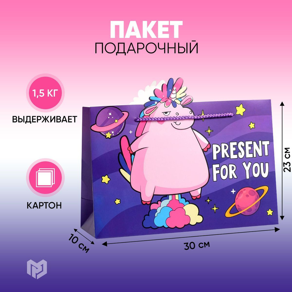 Пакет подарочный "Present for you", 30 х 23 х 10 см #1