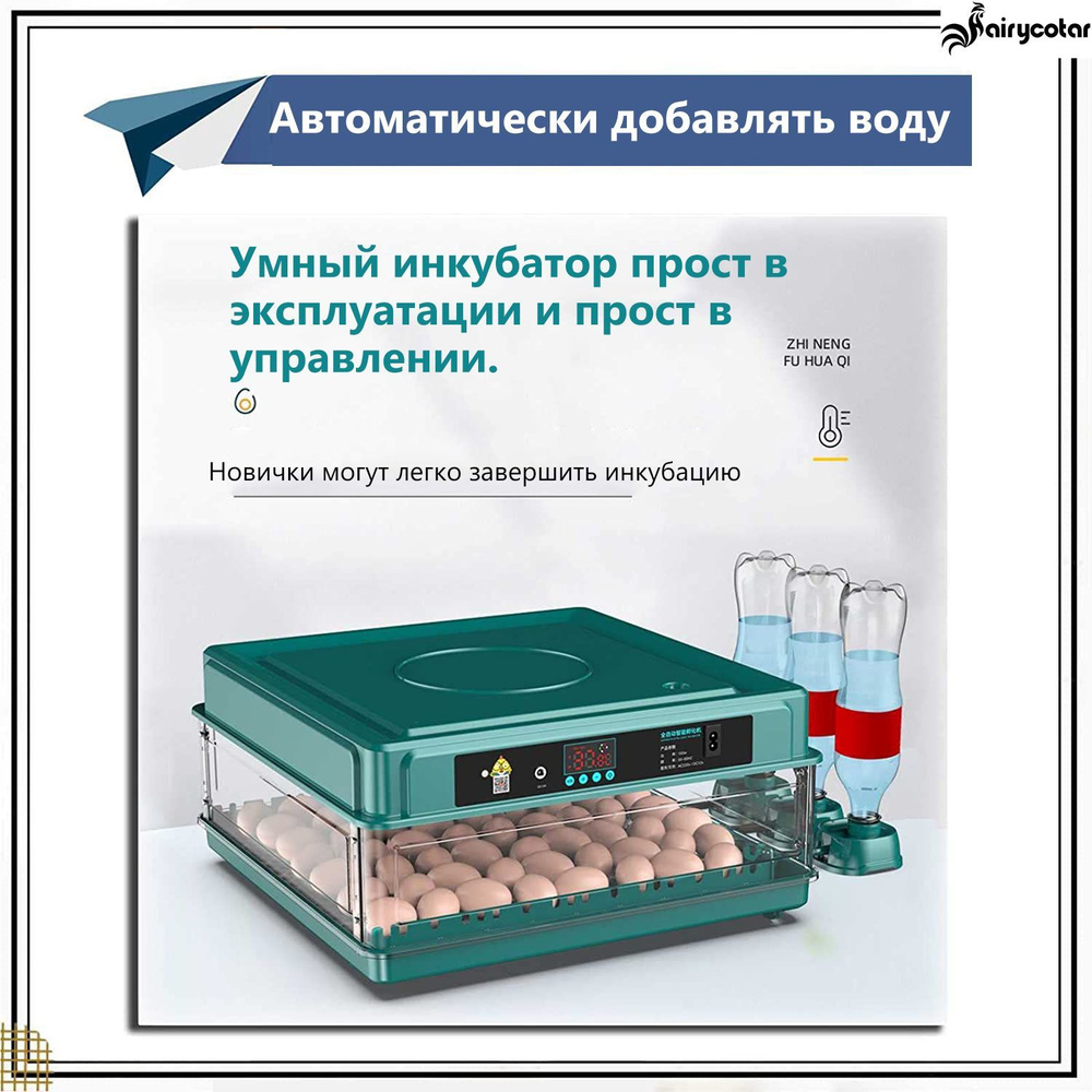 30 инкубатор для яиц автоматический,220В/12В -  с доставкой по .