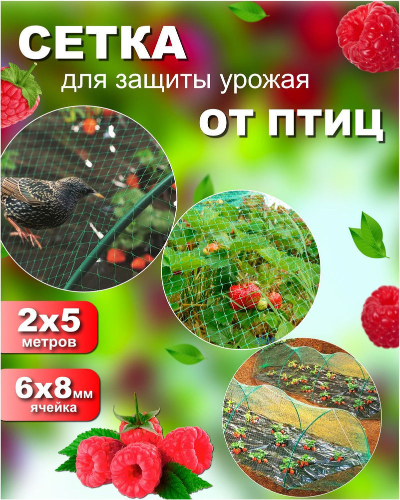 Сетка защитная от птиц 2*5метров (ХАКИ) - купить с доставкой по ...