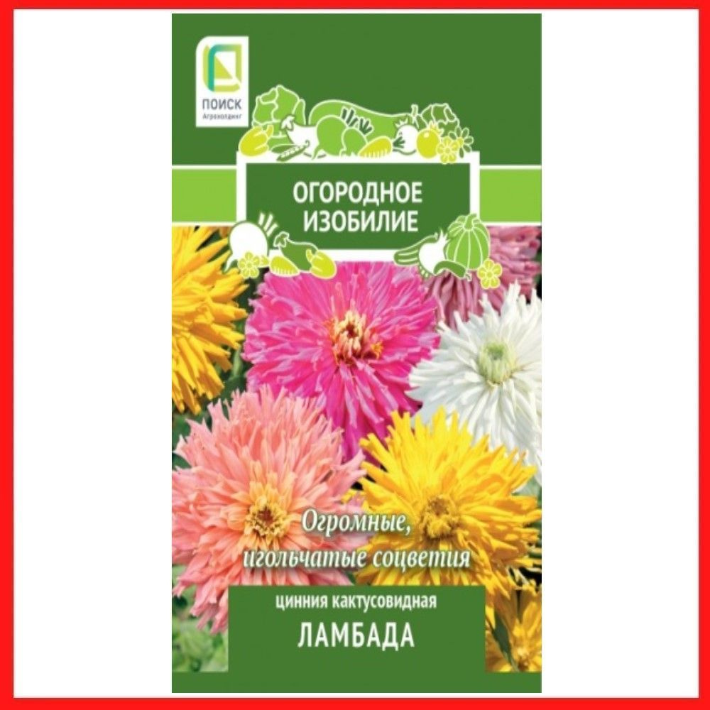 Семена Цинния кактусовидная "Ламбада" 0,4 гр, однолетние цветы для дачи, сада и огорода, клумбы, в открытый #1