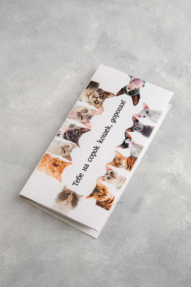 Конверт для денег с шоколадом "На сорок кошек" #1
