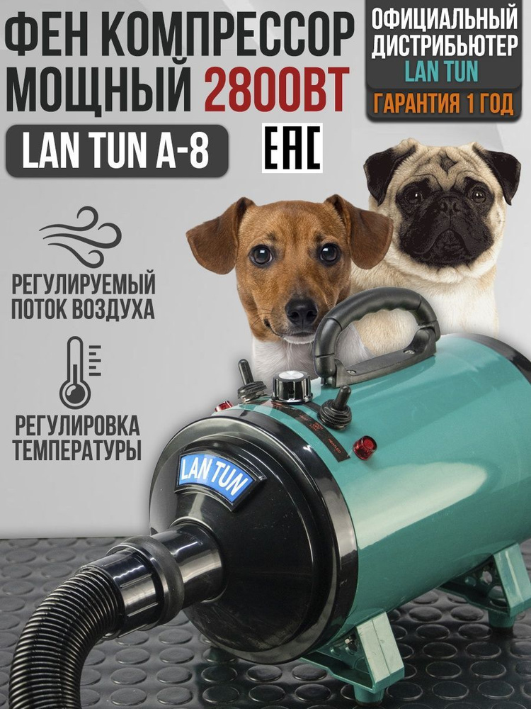 Фен компрессор для сушки шерсти собак и кошек 2800 Вт / Для животных ...