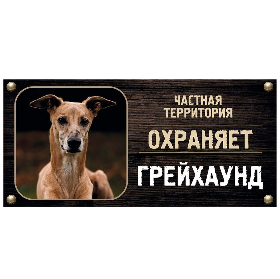 Табличка, Злая собака, Территорию охраняет Грейхаунд, на металлической ...