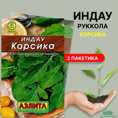 Руккола (индау) Корсика,2 пакетика по 0,3г,семена Аэлита, для открытого грунта  #1