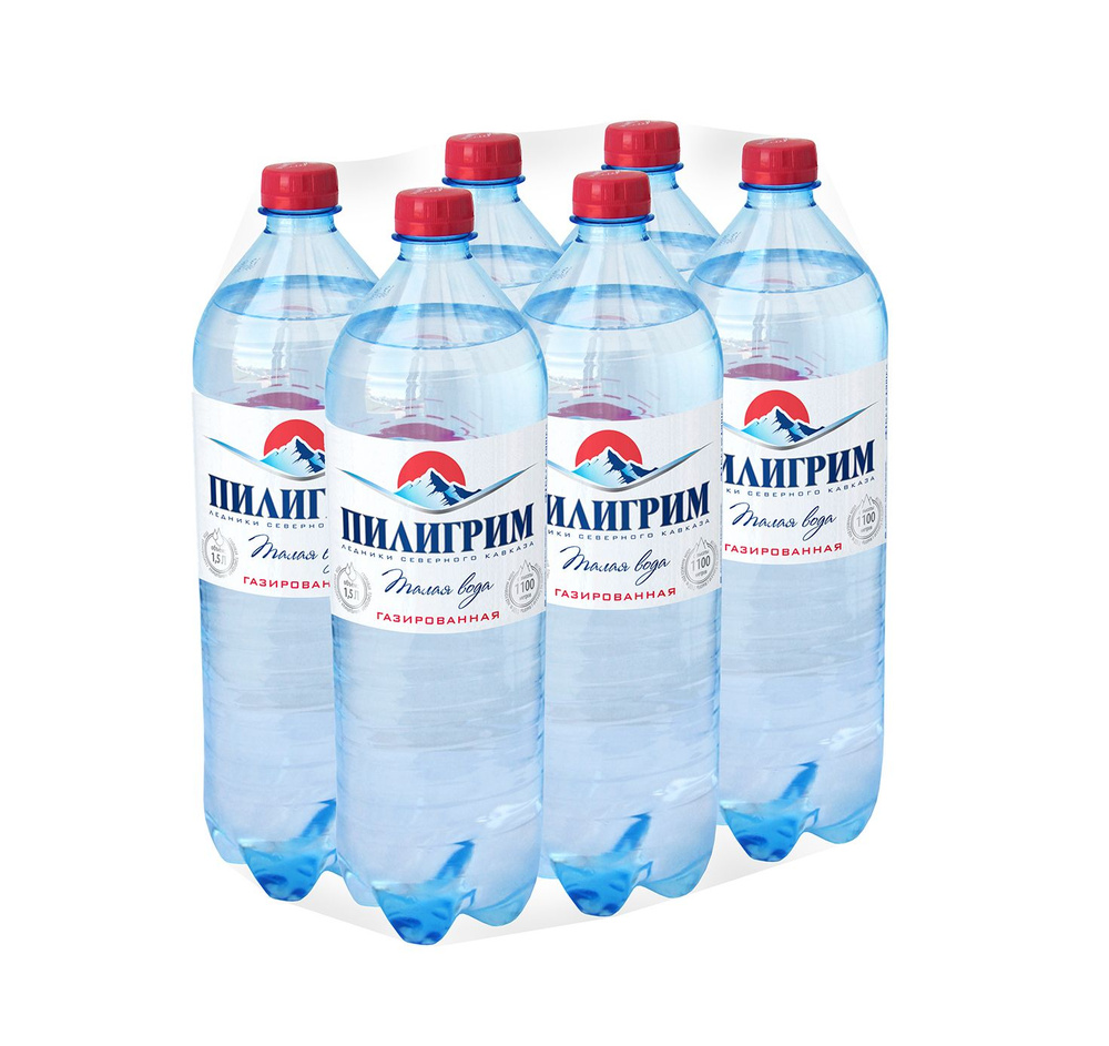 Вода газированная Пилигрим минеральная природная, 6 шт х 1,5 л - купить ...