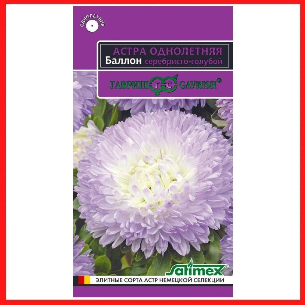 Семена Астра густомахровая "Баллон серебристо-голубой" 0,05 гр, однолетние цветы для дачи, сада и огорода, #1