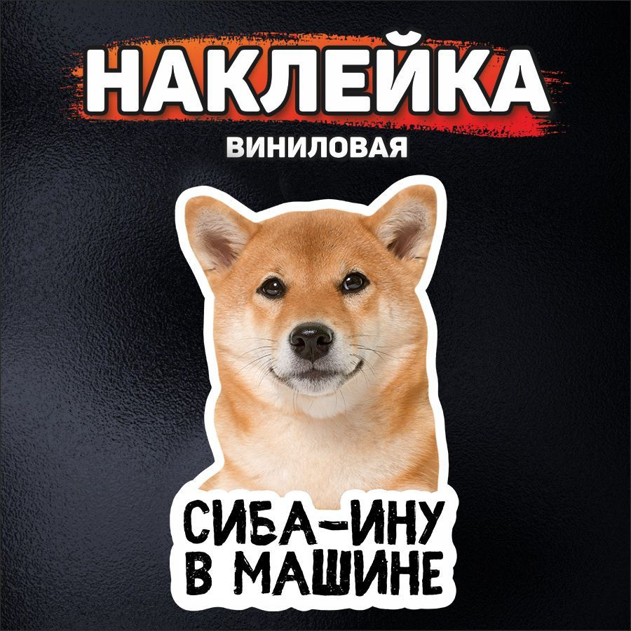 Наклейка на автомобиль, DANGER DOG, Сиба-ину в машине - купить по выгодным  ценам в интернет-магазине OZON (1064483542)