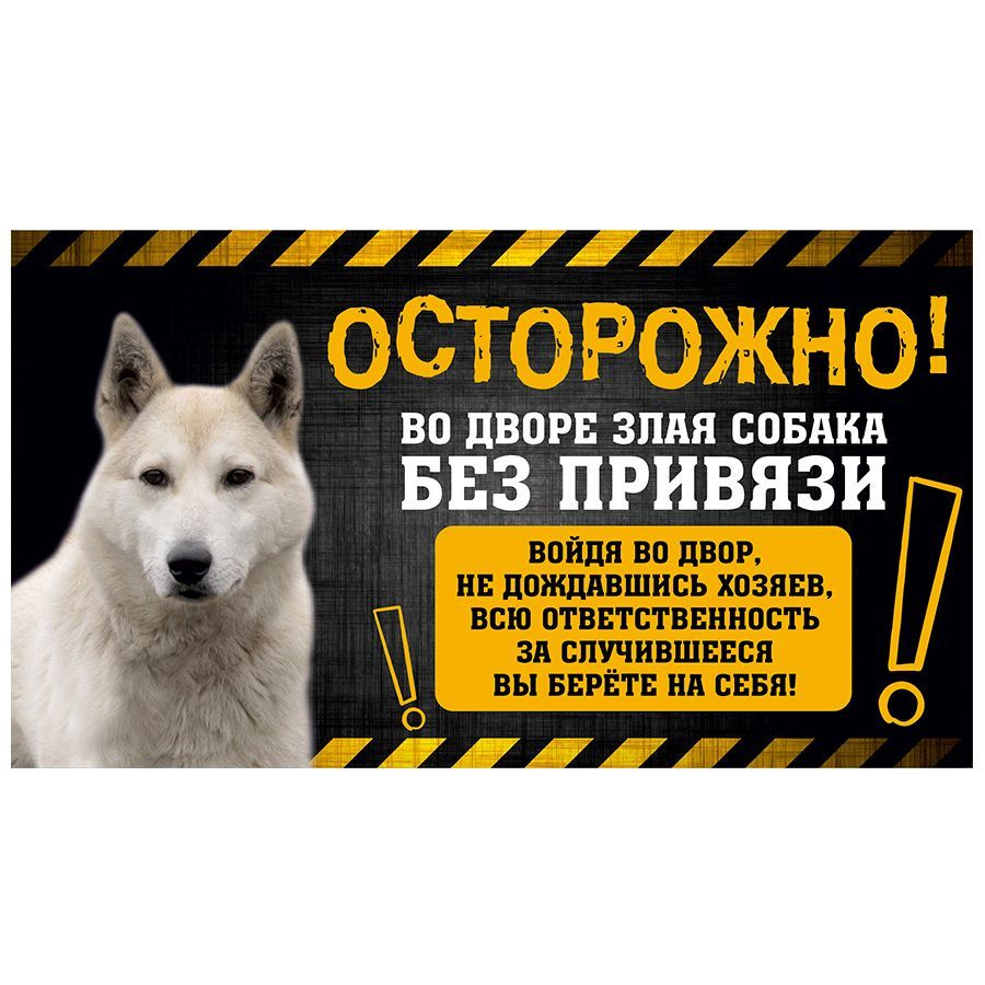 Табличка, с юмором, прикол, DANGER DOG, Осторожно! Во дворе собака без  привязи, Западносибирская лайка, 25x14 см, 25 см, 14 см - купить в  интернет-магазине OZON по выгодной цене (1099615252)