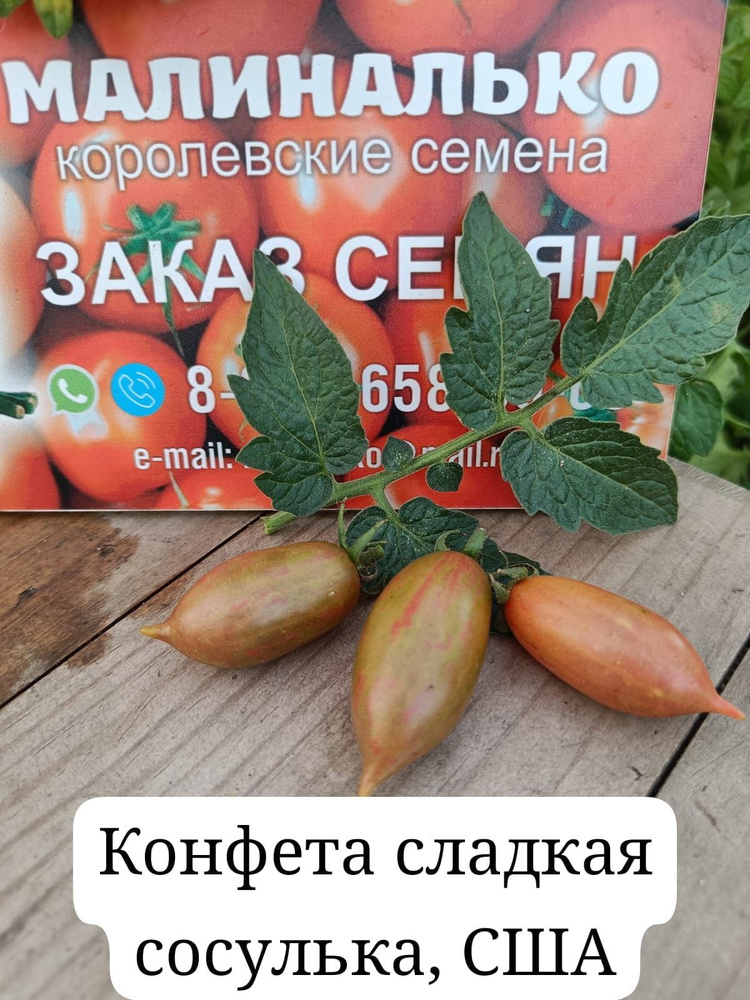 Семена #1