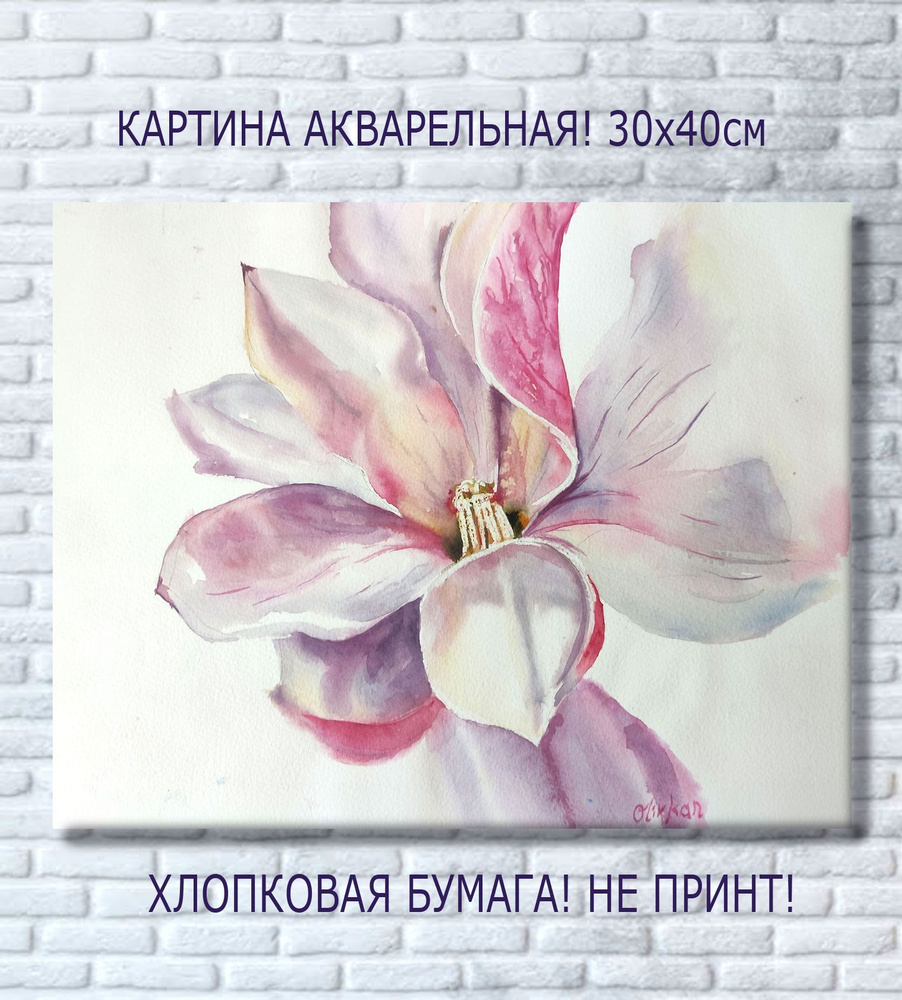 Картина Магнолия, Цветы акварельная живопись, 30х40 см - купить по низкойцене в интернет-магазине OZON (1148214609)