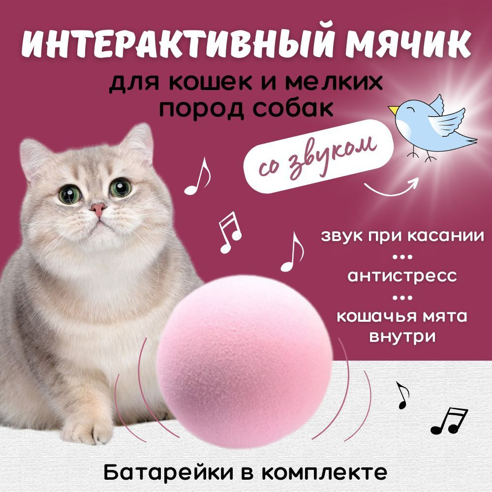 Интерактивная игрушка для кошки, мячик с мятой со звуком птиц для кошек и  собак с кошачьей мятой. Игрушки для кошек - купить с доставкой по выгодным  ценам в интернет-магазине OZON (844409425)