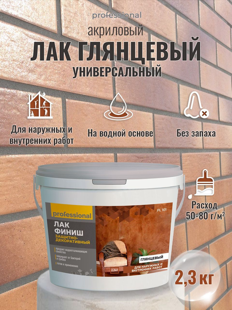 professional-2