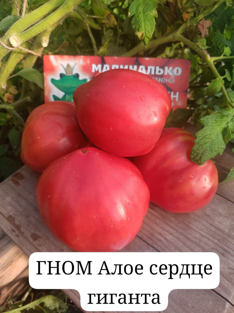 Семена #1