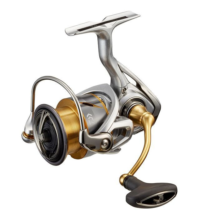 Катушка безынерционная DAIWA 21 FREAMS LT 2500 #1