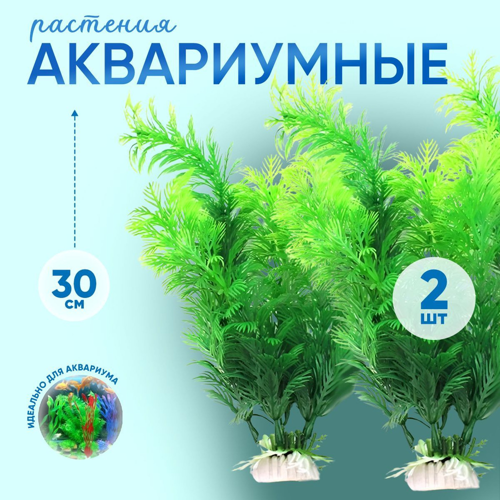 Живые аквариумные растения