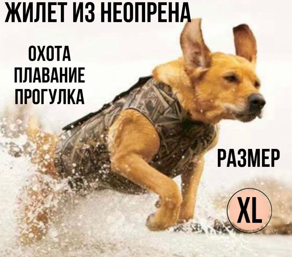Одежда для животных #1
