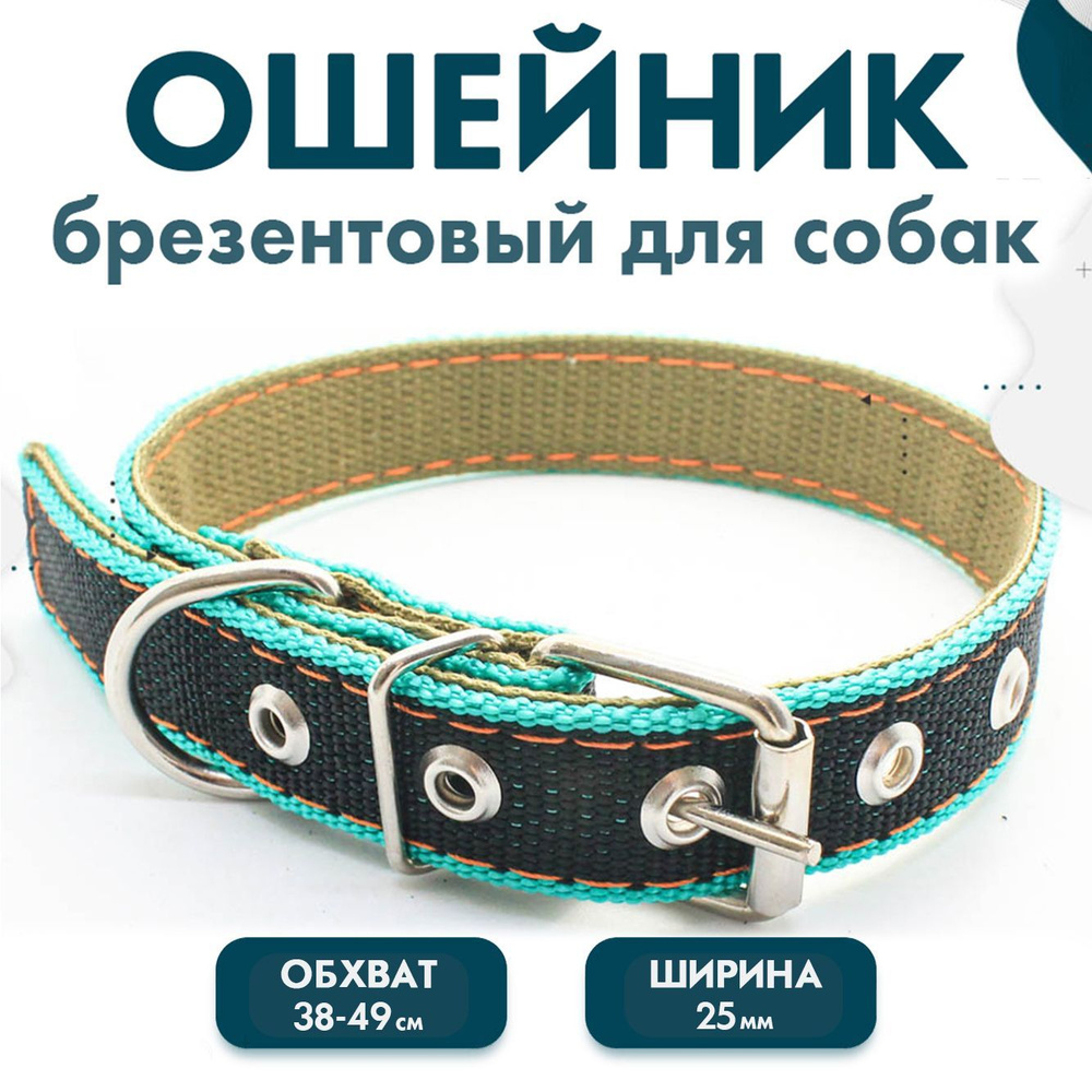 Ошейник для собак мелких и средних пород, брезентовый 25мм/Надежный ...