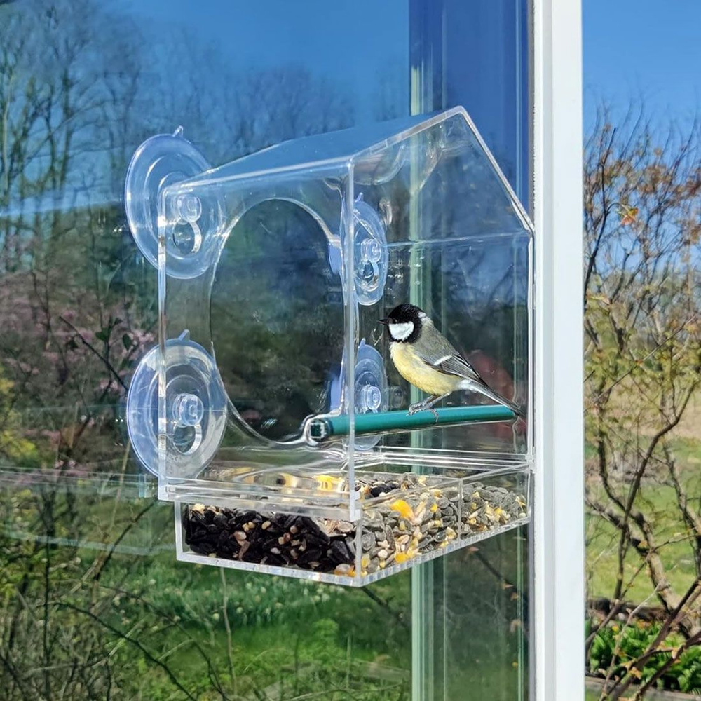 прозрачная кормушка для птиц на окно присосках