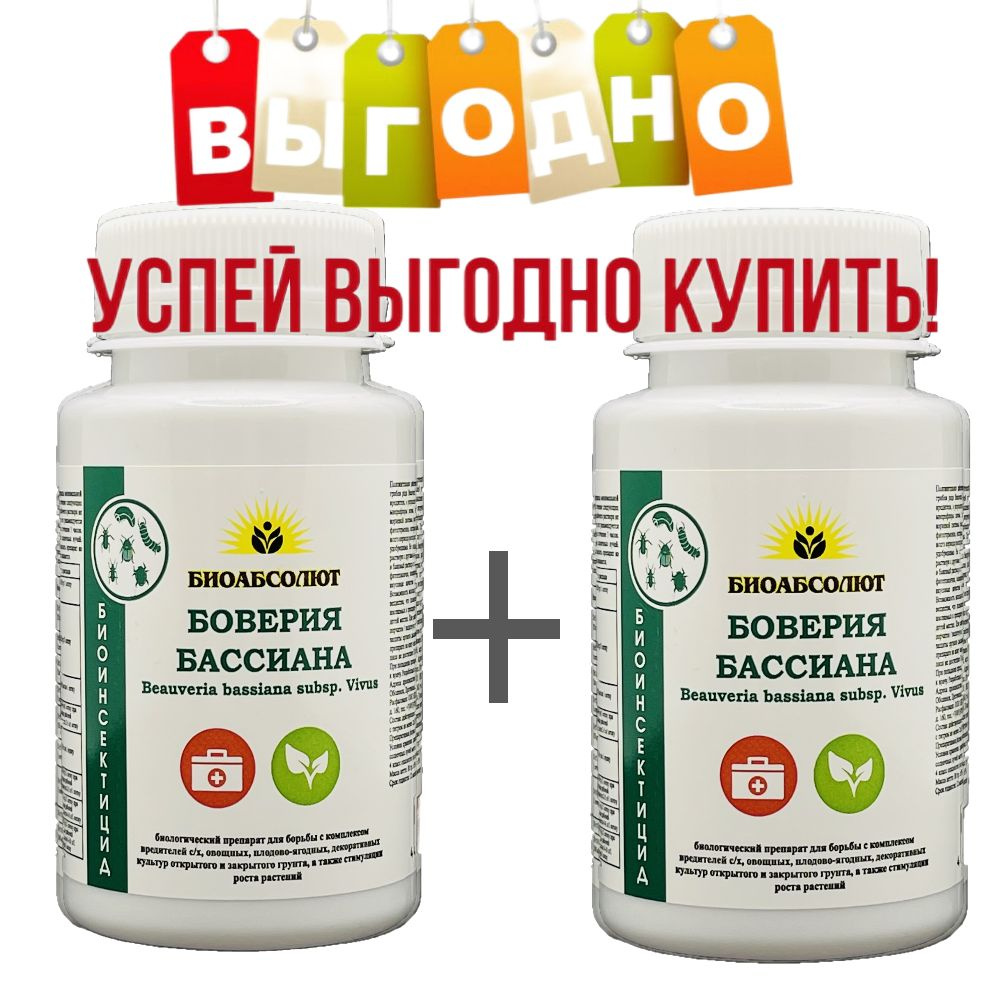 Боверия что это такое и зачем. Боверия. Боверия размножение. От муравьев средство Боверия.