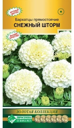 Бархатцы прямостоячие Снежный Шторм, 1 пакет, семена 10 шт, Евросемена  #1