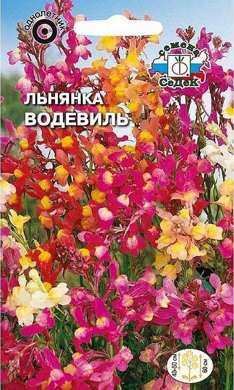 Льнянка Водевиль #1