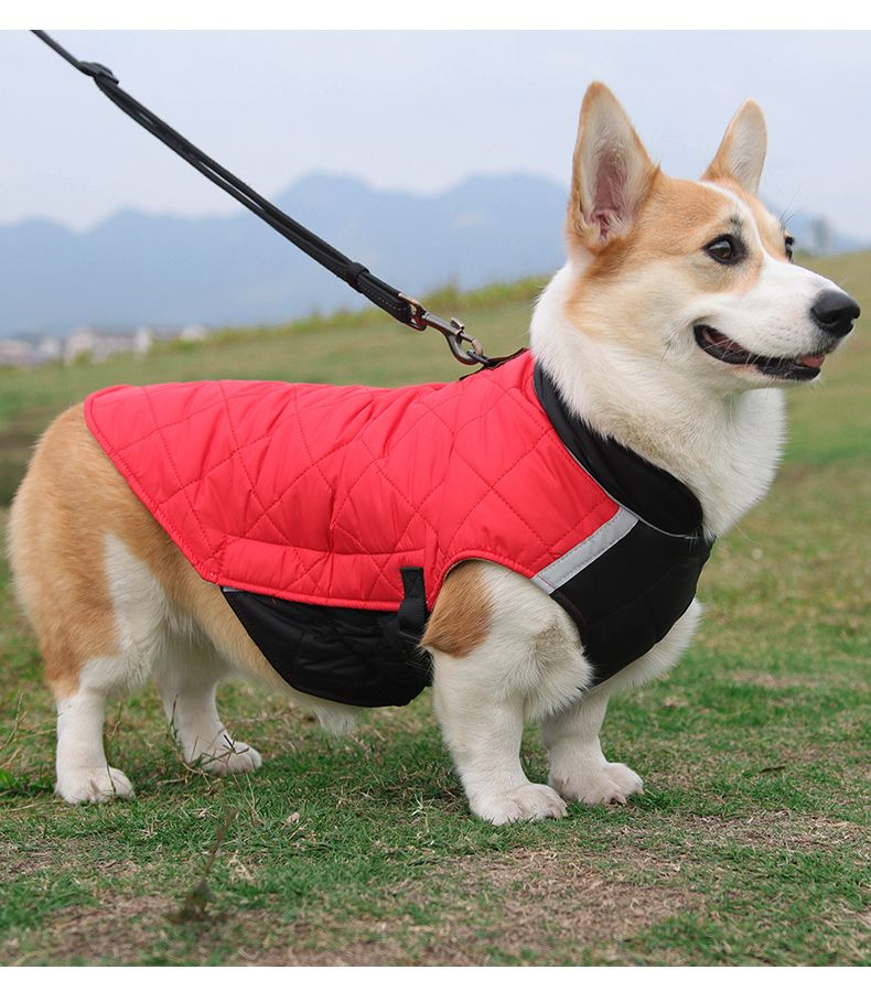 Одежда для собак; для маленьких, средних и крупных собак - купить с ...