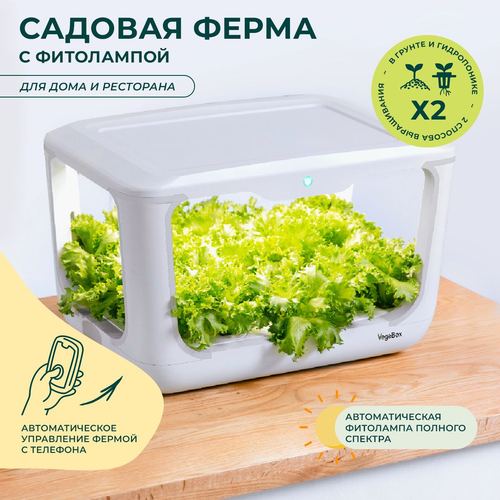 Домашняя садовая ферма Vegebox L-box, гидропонная установка, для  проращивания растений и цветов - купить с доставкой по выгодным ценам в  интернет-магазине OZON (1540209097)