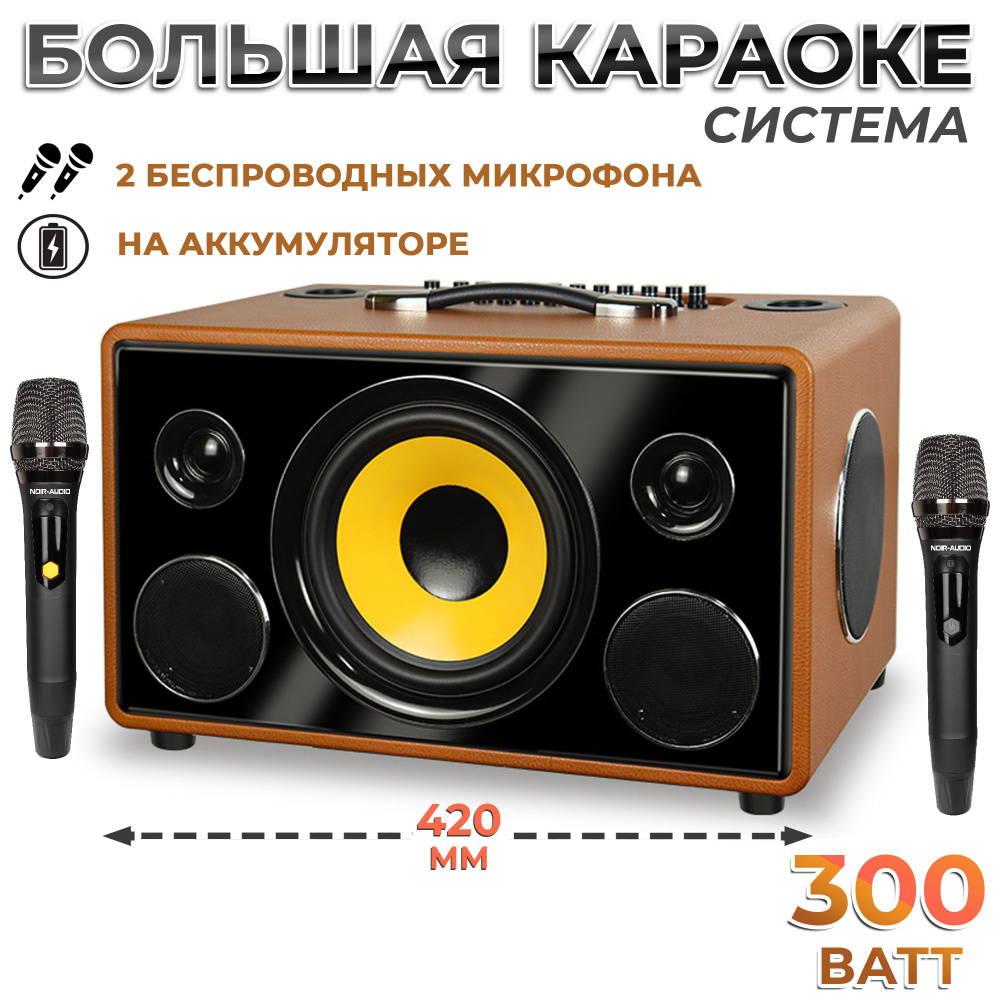 Беспроводная колонка NOIR-audio MAX-300 - купить по доступным ценам в  интернет-магазине OZON (1317592603)