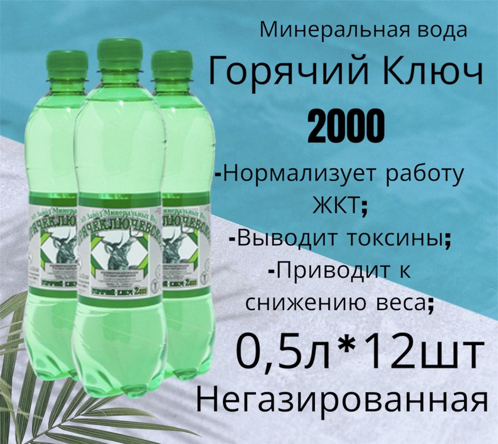 Вода Горячий Ключ 2000. Объем 0,5л*12шт. Вода минеральная питьевая ...