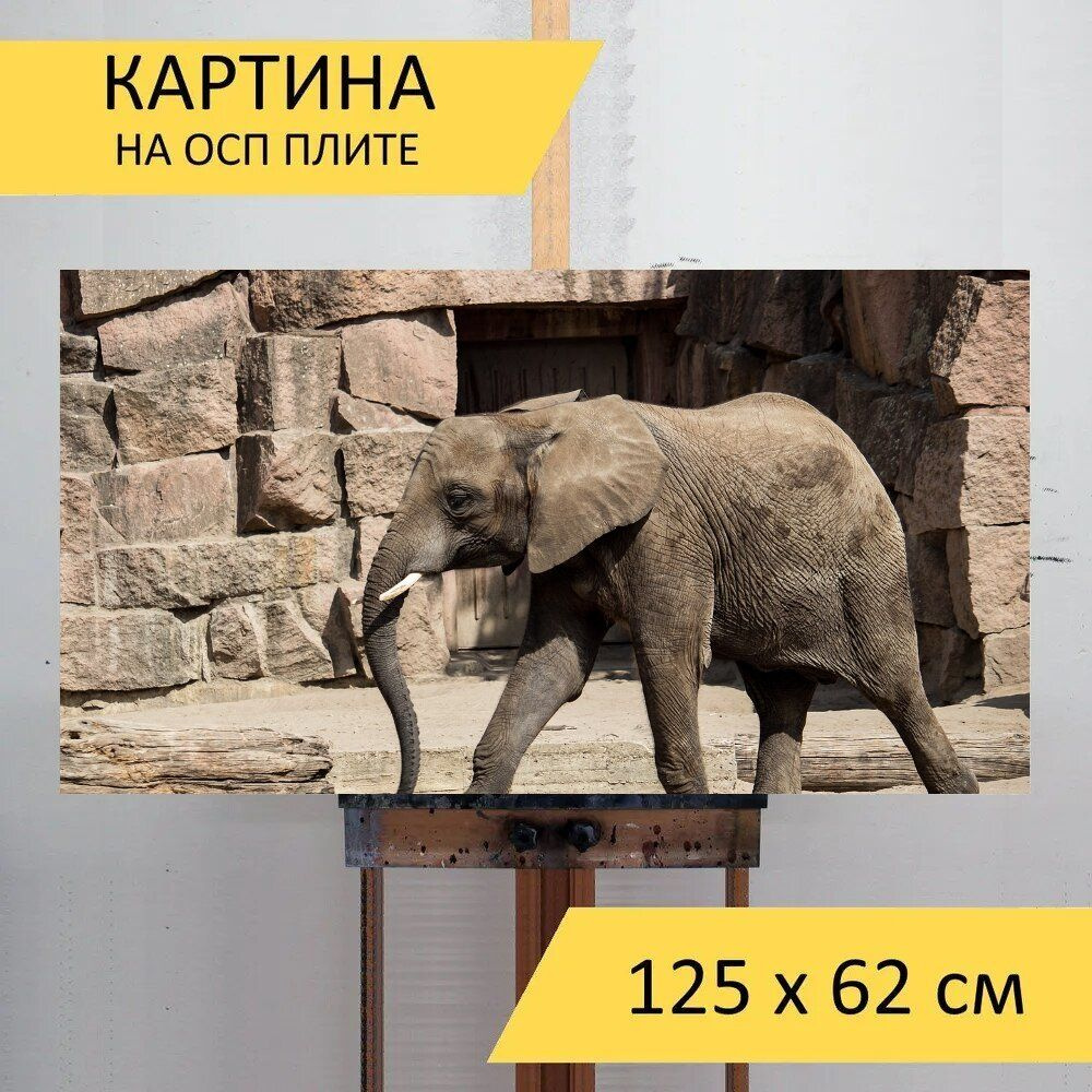 LotsPrints Картина "Слон, млекопитающее, детеныш 85", 125  х 62 см #1