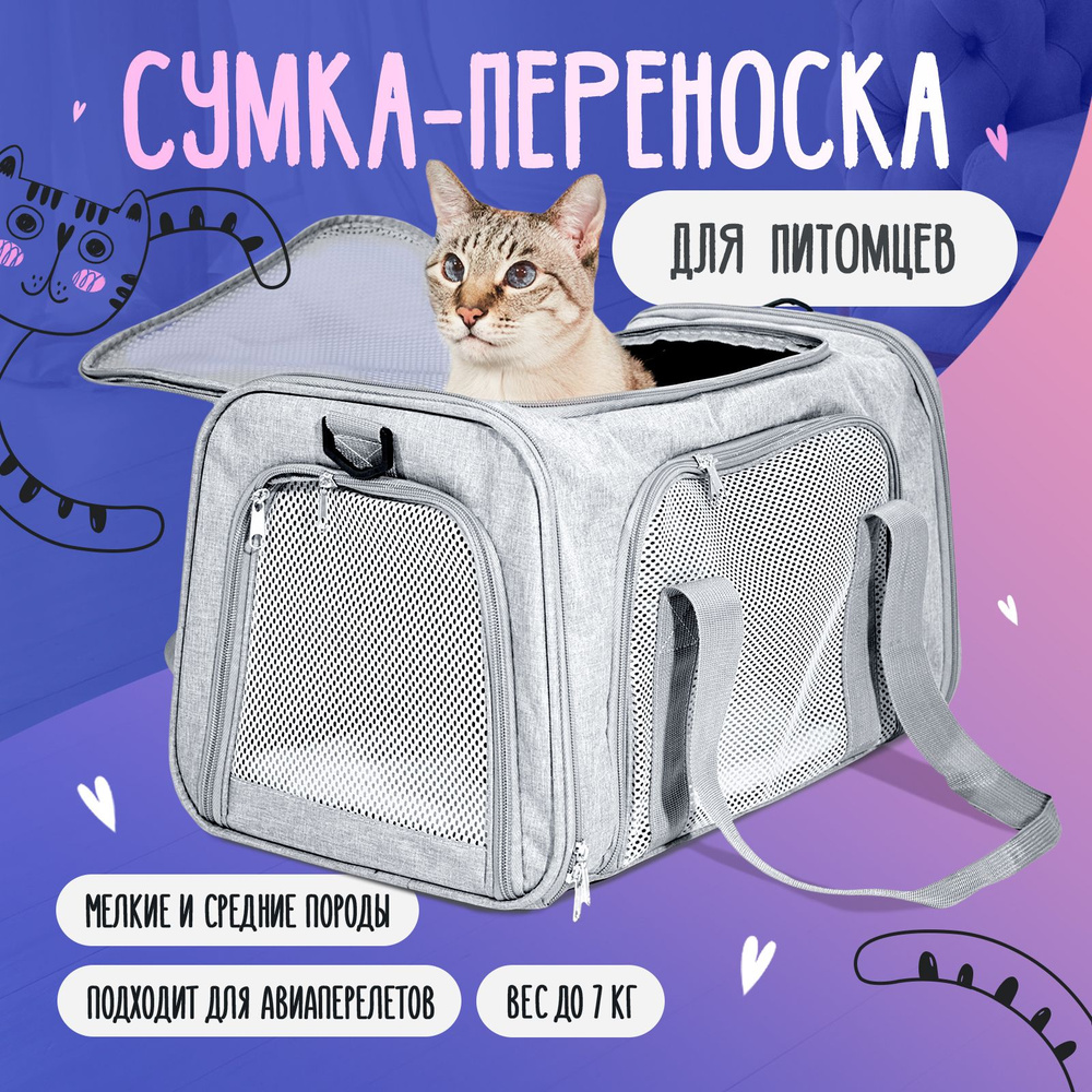 Сумка переноска для животных: кошек и собак мелких пород до 7 кг - купить с  доставкой по выгодным ценам в интернет-магазине OZON (793553711)