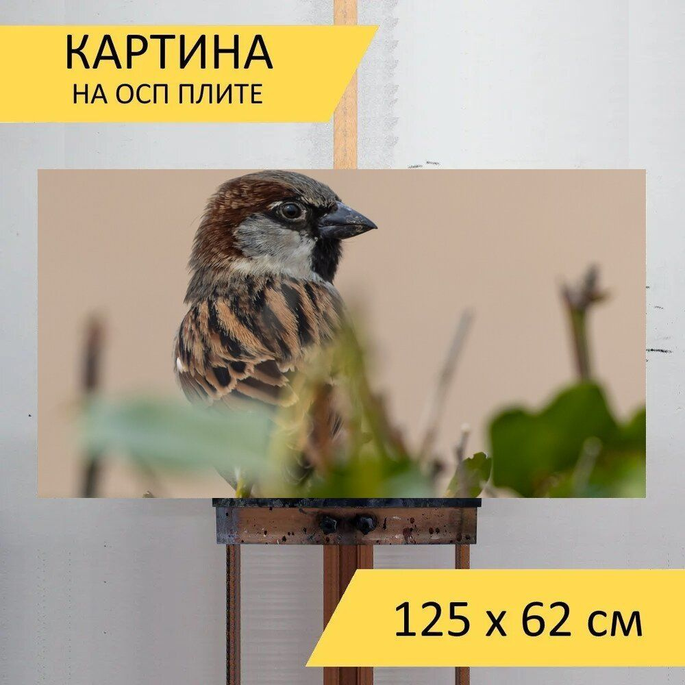 Картина птиц 