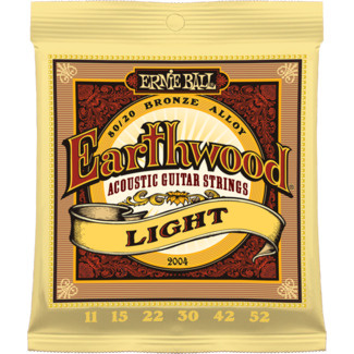 Ernie Ball Earthwood 80 20 Bronze Acoustic