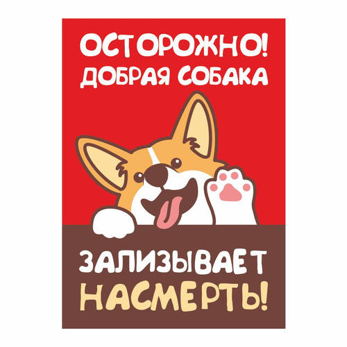 Табличка, осторожно злая собака, прикол, на дверь, на забор, 18 см, 25 ...