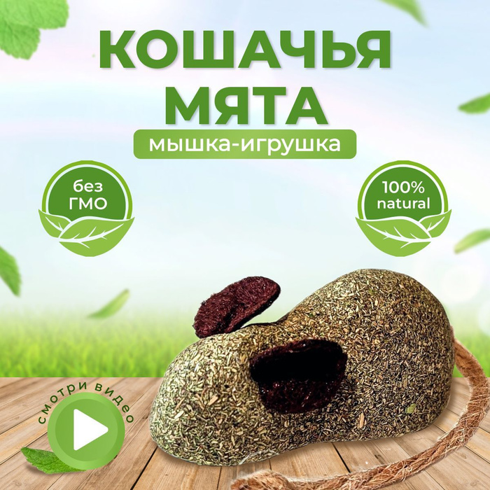 Мята перечная хорст. Мята от мышей отзывы. Перечная мята настойка от мышей. Раствор перечной мяты от мышей. Мята от мышей отзывы.