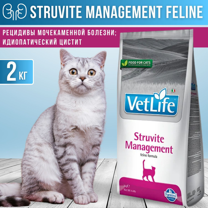 Фармина струвит. Vet life struvite корм для кошек. Струвит менеджмент для кошек. Farmina vet life cat diabetic 400 г. Струвит менеджмент для кошек.