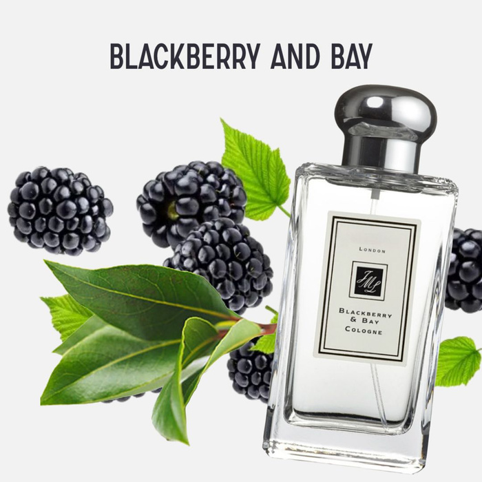 Blackberry bay отзывы. Jo Malone BLACKBERRY Bay. Jo Malone BLACKBERRY. BLACKBERRY Парфюм. Джумалон блэкберри Парфюм.