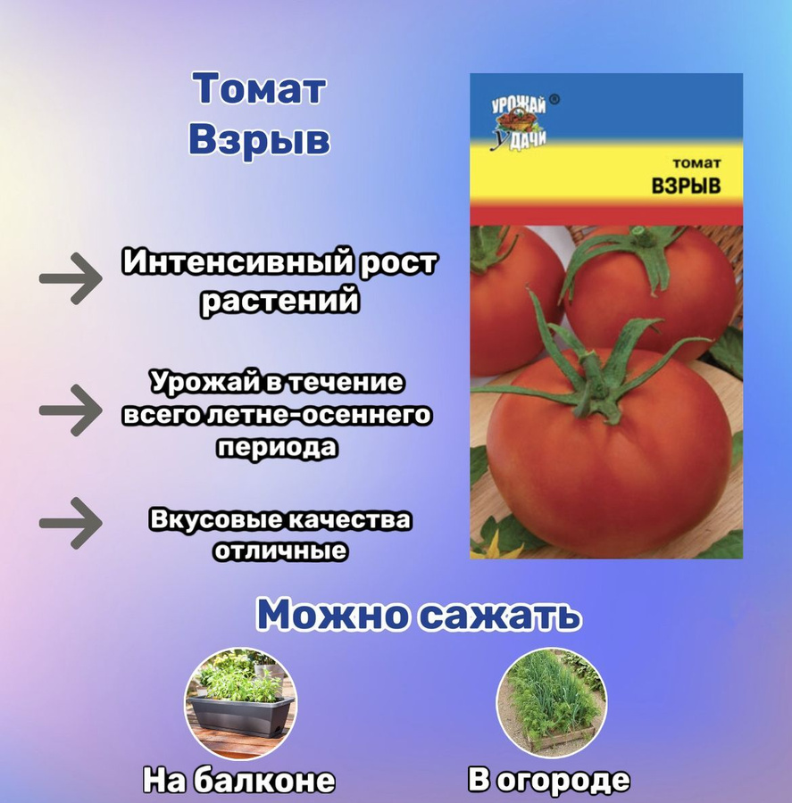 Томат дворцовый характеристика и описание. Томат Государь. Томат Джина.