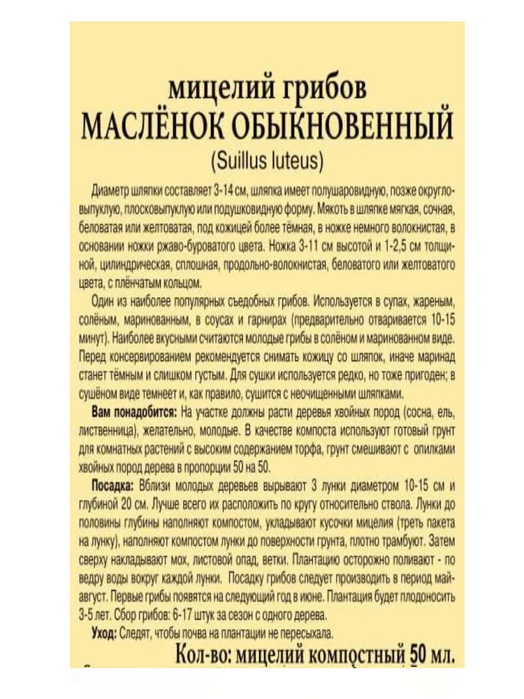 Мицелий грибов "МАСЛЕНОК ОБЫКНОВЕННЫЙ" семена грибов, вариант, фото 2