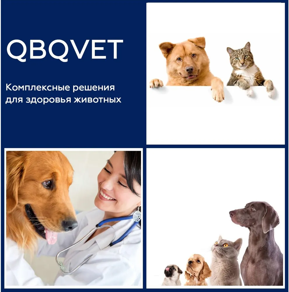 Экспресс-тест QBQVET Коронавирус кошек (FCoV Ab), 1шт, 1 шт, фото 4