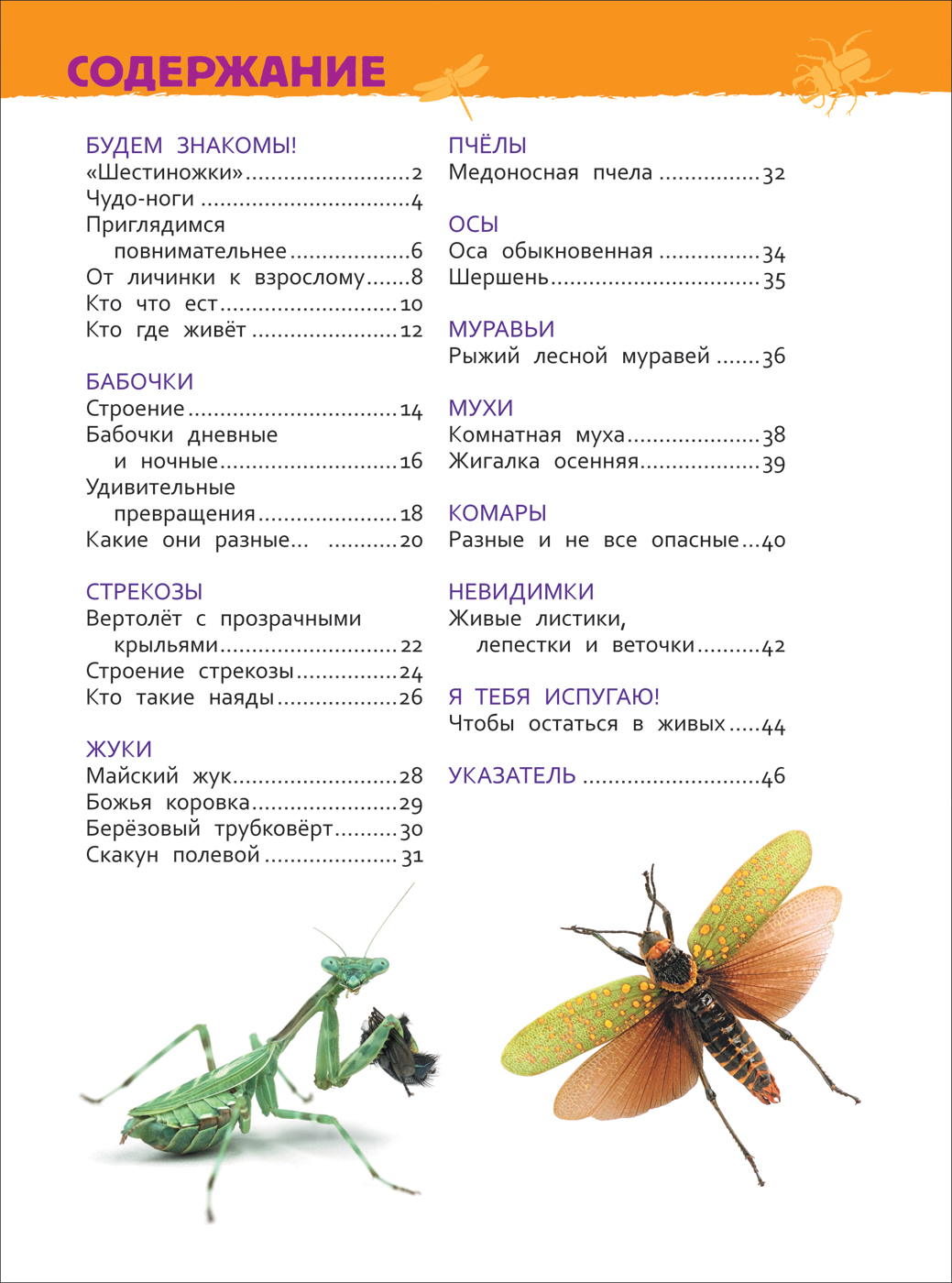 Насекомые. Энциклопедия для детского сада | Reference Book - Ozon image 7