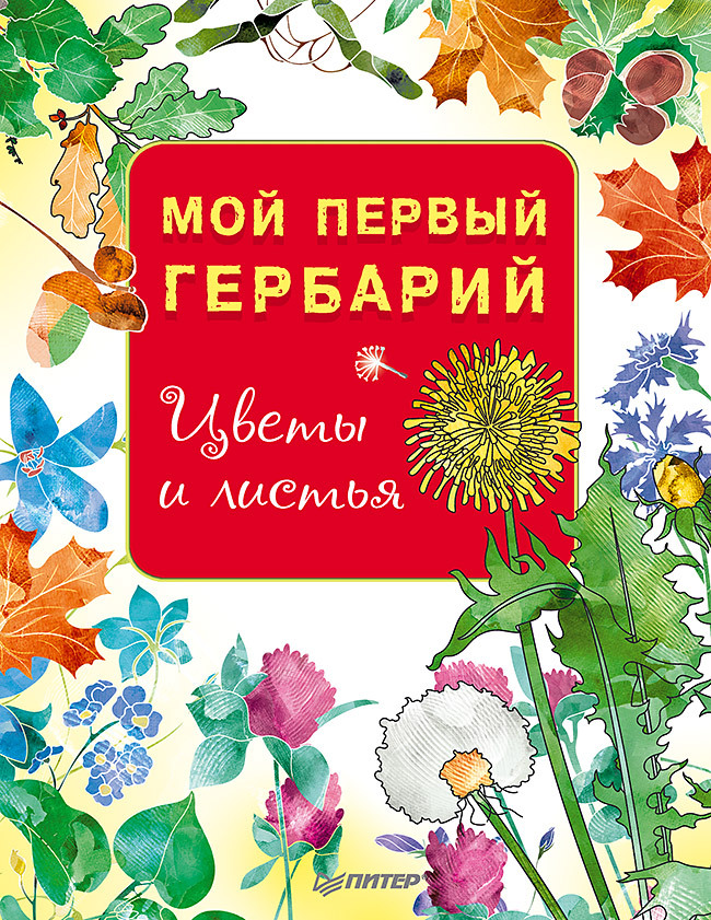 Мой первый гербарий. Цветы и листья | Reference Book - Ozon image 1