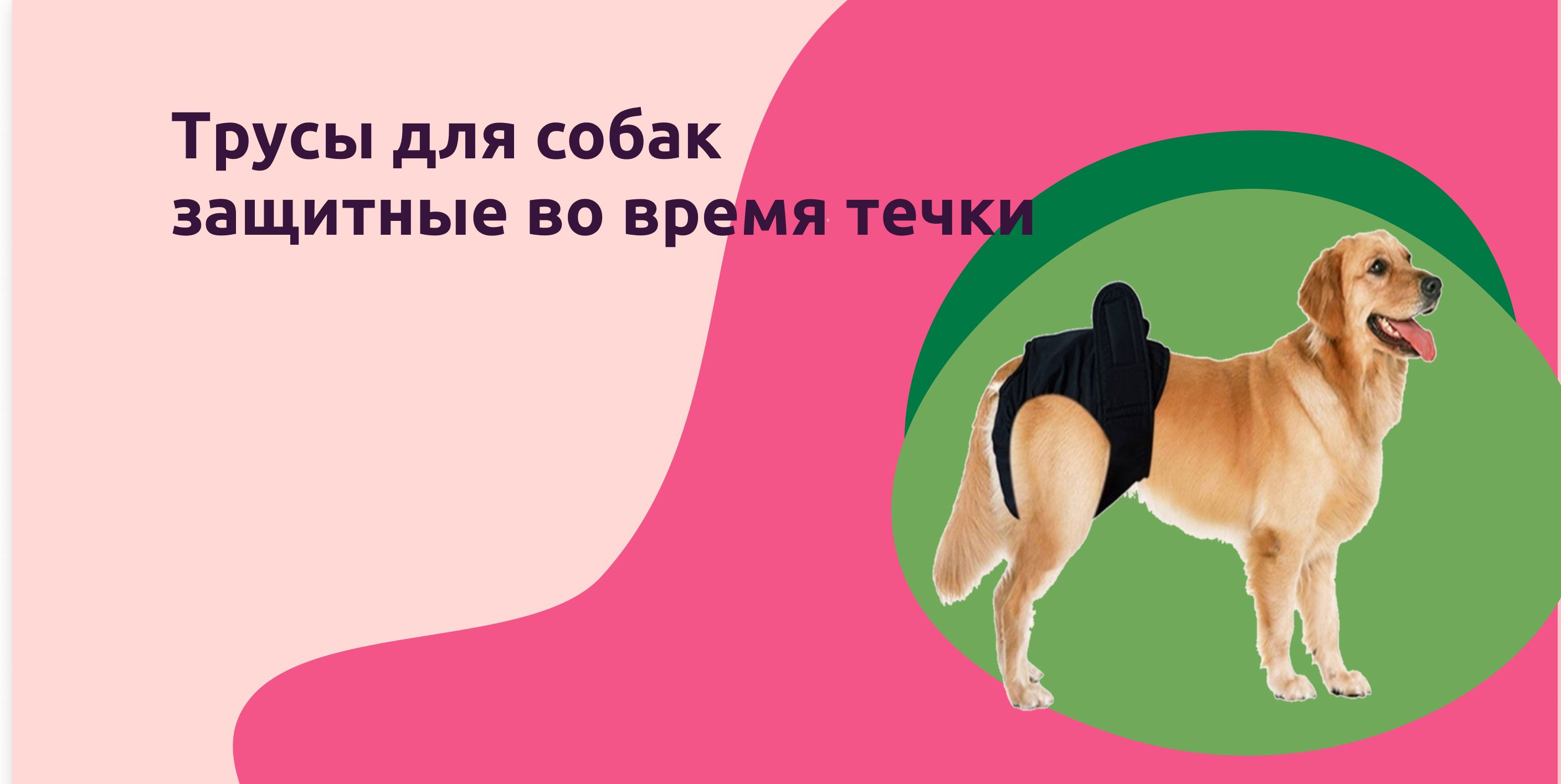 Трусы для собак на время течки,гигиенические для собак,многоразовые для ...