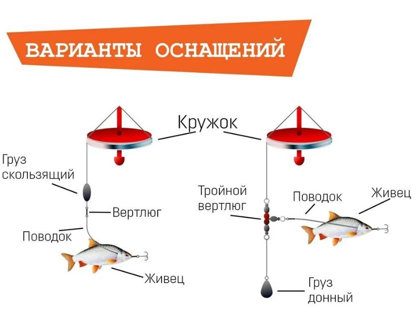 Как сделать оснастку на щуку Набор жерлиц летних кружки на щуку оснащенные 3шт - купить в интернет-магазине O