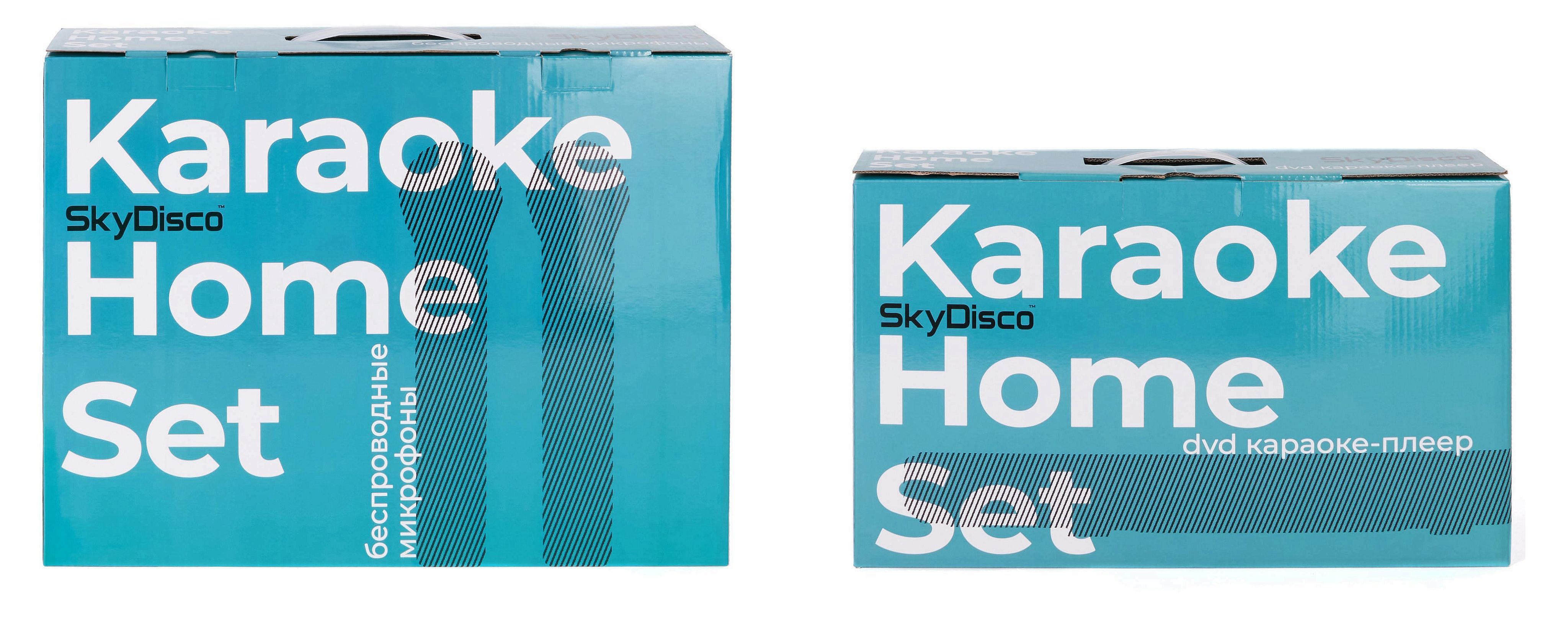 Комплект караоке для дома SkyDisco Karaoke Home Set: приставка с ...