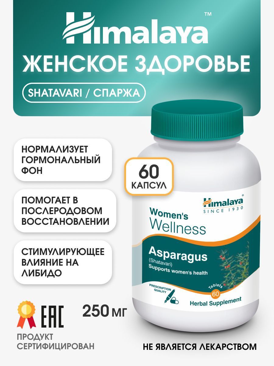 Пенис резеңке жолақпен байланады