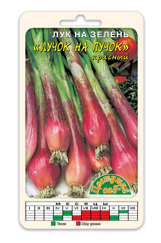 Лук Красный салатный: описание, характеристики, агротехника выращивания, отзывы