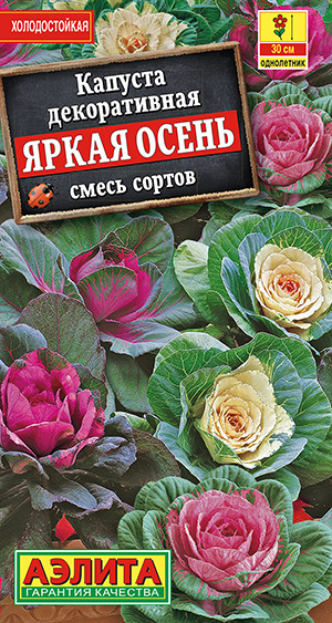 Семена Капуста декоративная Яркая осень, смесь окрасок (0,1 г) - Аэлита #1